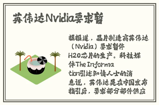 精品成人片深夜